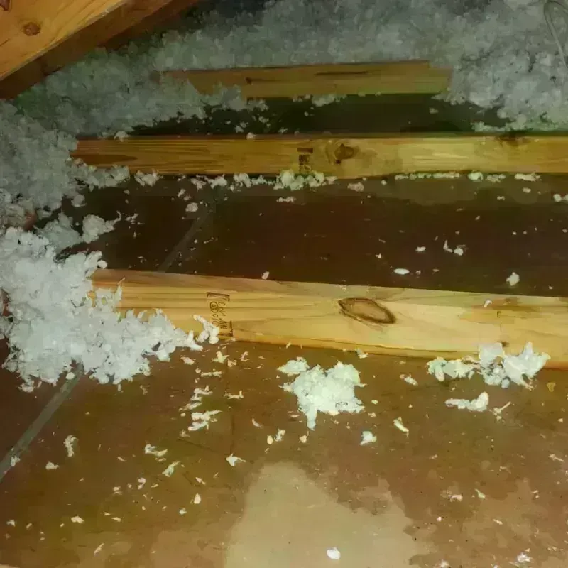 Attic Water Damage in Saint Clair, MI