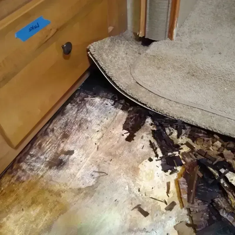 Wood Floor Water Damage in Saint Clair, MI